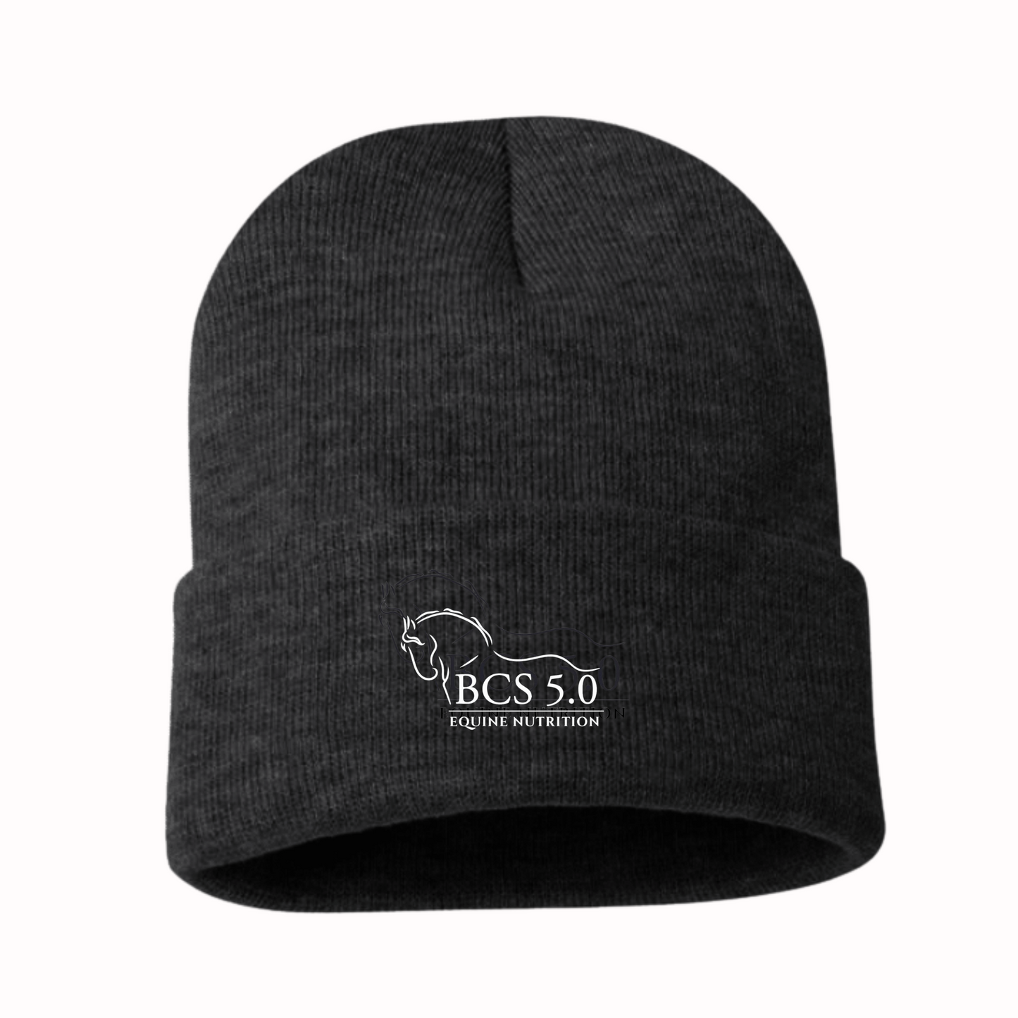Winter Beanie Hat