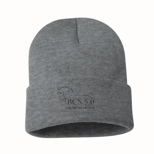 Winter Beanie Hat