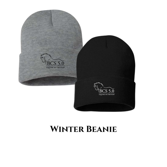 Winter Beanie Hat