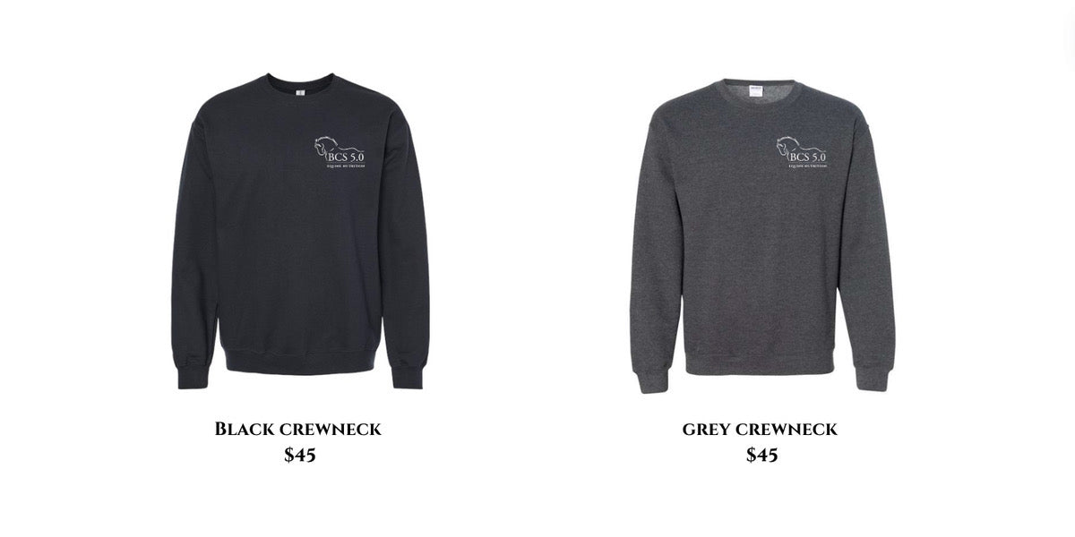 Crewneck Sweatshirt