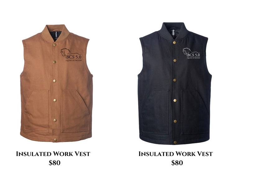 Insulated work vest